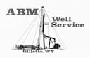 ABM Well Service logo