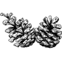 Early Morning Star LLC logo