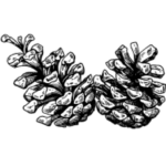Early Morning Star LLC logo