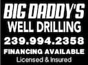 Big Daddy's Well Drilling logo