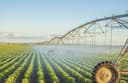 Lobo Irrigation & Pump Service LLC logo
