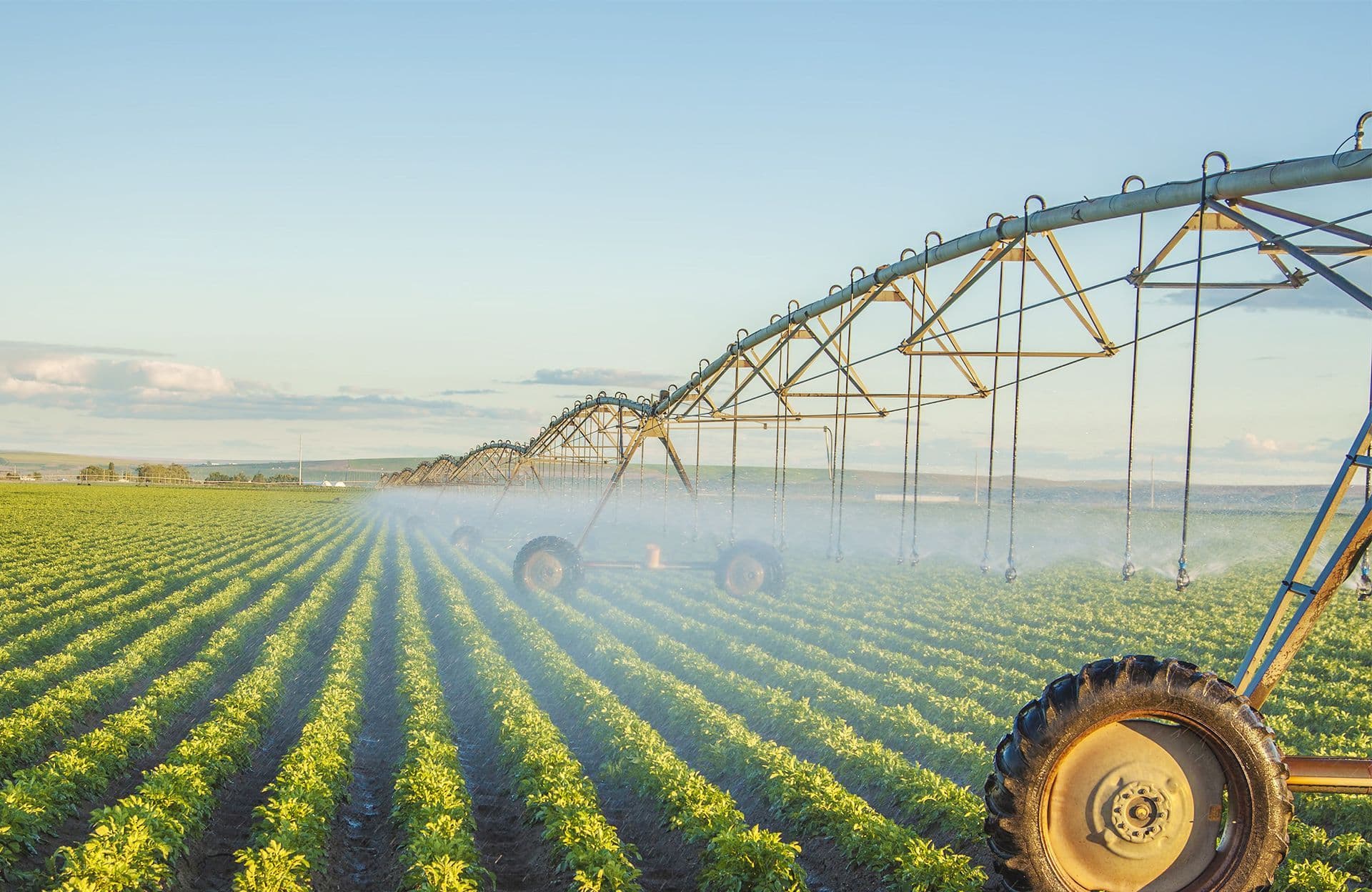 Lobo Irrigation & Pump Service LLC logo