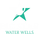 Big Star Water Wells logo