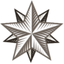 West Star Well Services logo