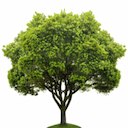 Lawns Unlimited Ltd logo