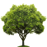 Lawns Unlimited Ltd logo