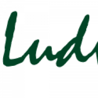 Ludwig Drilling logo