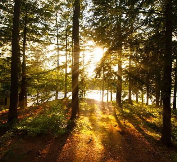 Jack Dunn Pumps - gallery