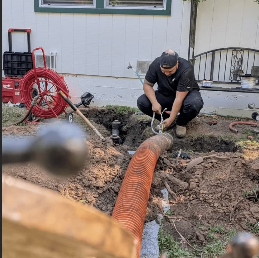 The Toilet Whisperer - gallery