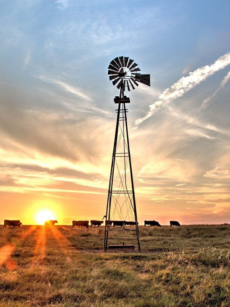 Rain Lark Well Service, LLC - gallery