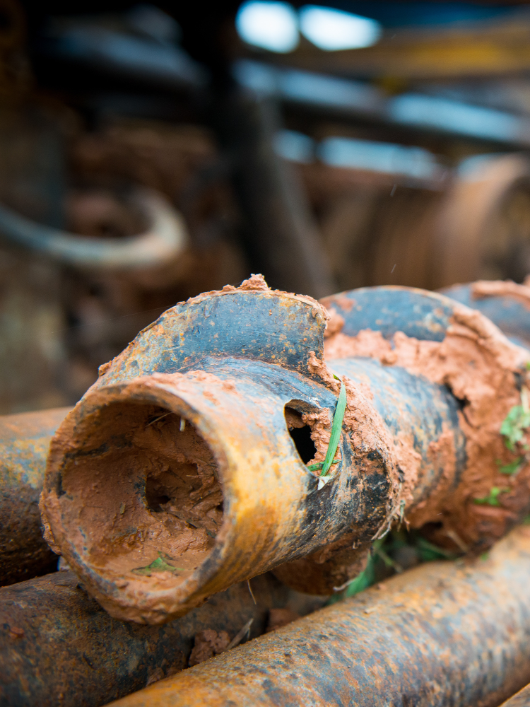 WALKER HILL ENVIRONMENTAL INC - gallery