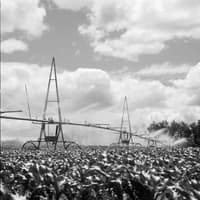 Medders well and pump service - gallery