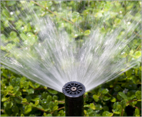 Prospect Well Drilling - gallery