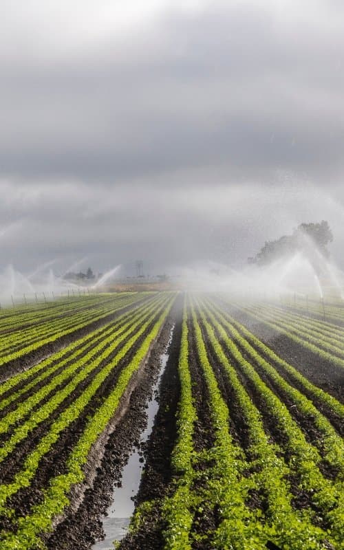 Deepflow Dynamics - gallery