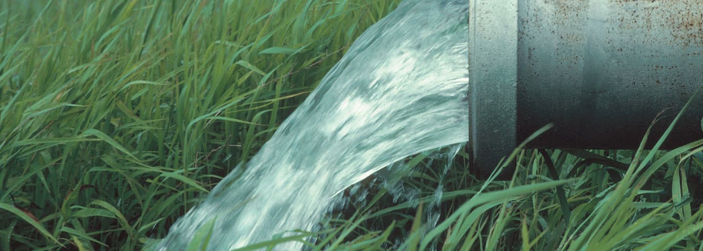 Pineywoods Groundwater - gallery