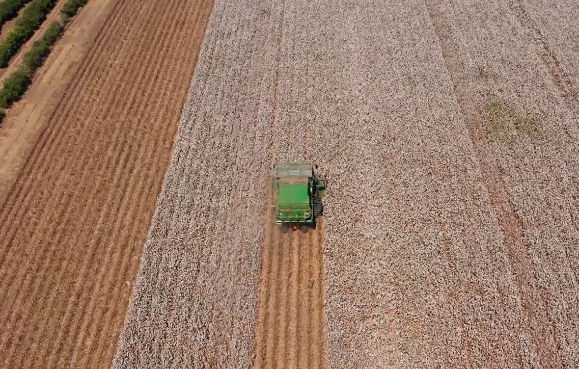 Lobo Irrigation & Pump Service LLC - gallery