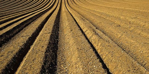 Leonard Water Services - gallery