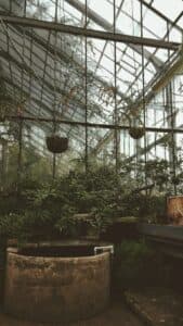 Lone Star Water Well Drilling & Service Company - gallery