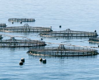 Keller Drilling & Well Service - gallery