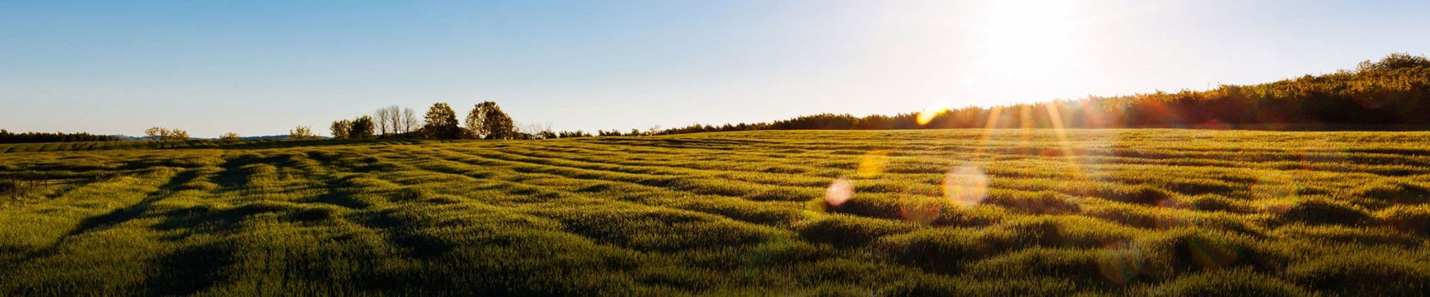 Lawrence Neusch Water Well - gallery