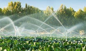 Roadrunner Pump Service - gallery