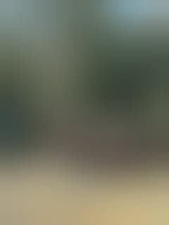 Elite Techniques, Inc. - gallery