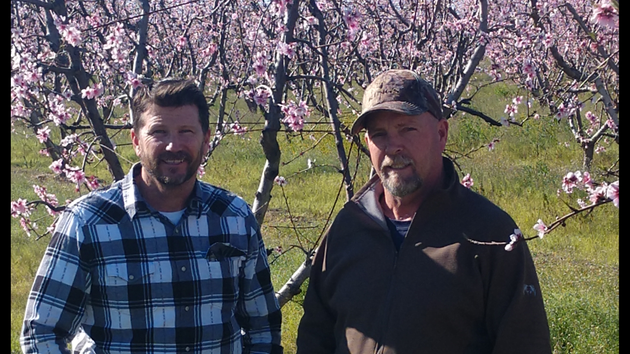 Bradley & Sons Water Well Drilling & Pump Systems - gallery