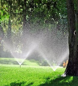 Tidewater Waterworks - gallery