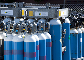 Tracy Swanson - gallery