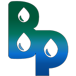 Beyond Pumps logo